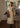 Ethereal Ivory Beige Vintage Shirring Dress(2COLOR)