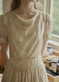 Aveline Draped Neck Floral Embroidered Dress