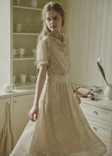 Aveline Draped Neck Floral Embroidered Dress