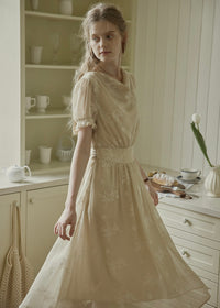 Aveline Draped Neck Floral Embroidered Dress
