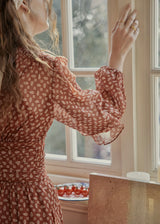 Amber Soft Tide Vintage Floral Chiffon Dress